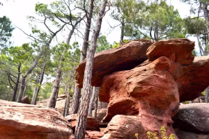 tour-pinturas-rupestres-pinares-rodeno-589x392