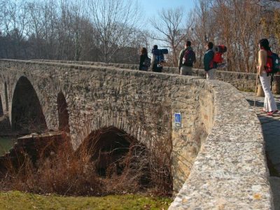 Puente_de_la_Magdalena_Pamplona_02