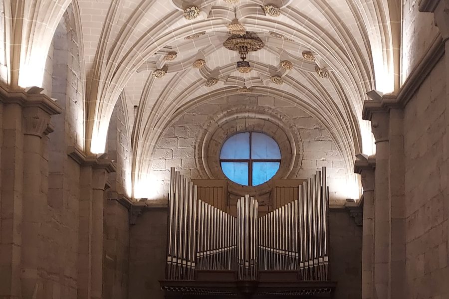 WhatsApp Image 2026-02-27 at 13.01.06