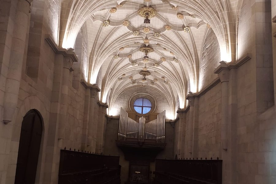 WhatsApp Image 2026-02-27 at 13.01.38